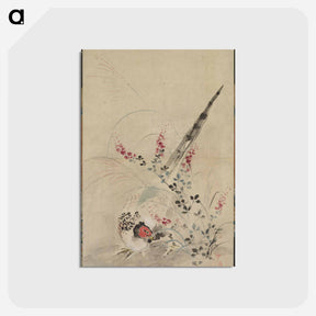アートポストカード-Pheasant and Grasses
 - クリーブランド美術館 Postcard.