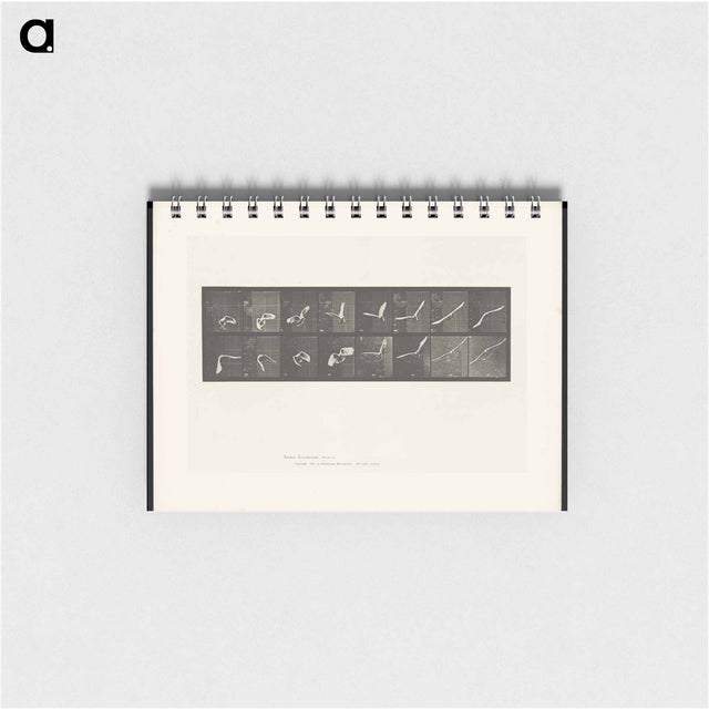 アートメモ帳-Flying Cockatoo
 - エドワード マイブリッジ Memo.