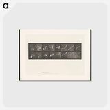 アートポストカード-Flying Cockatoo
 - エドワード マイブリッジ Postcard.