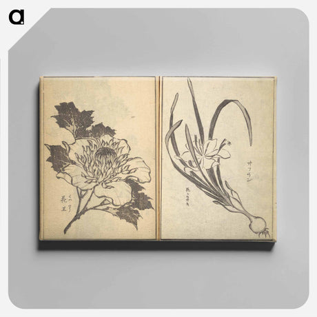 アートパネル-Old Manji’s Cursive Picture Album - 葛飾 北斎 Canvas.