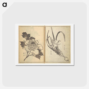 アートポストカード-Old Manji’s Cursive Picture Album - 葛飾 北斎 Postcard.