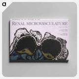 アートパネル-Biology of Renal Microvasculature
 - 国立医学図書館 Canvas.