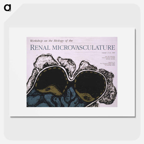 アートポスター-Biology of Renal Microvasculature
 - 国立医学図書館 Poster.