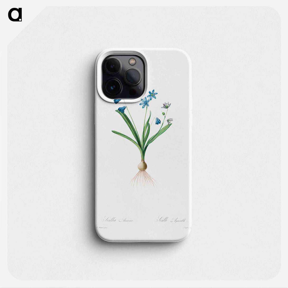 Scilla Amaena - ピエール ジョゼフ ルドゥーテ Phone Case.