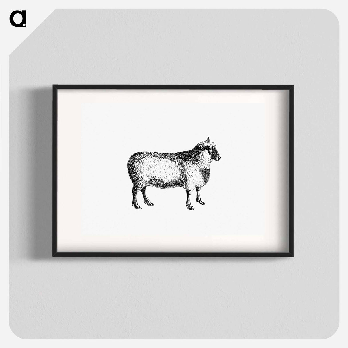 アートポスター-Sheep from On the Domesticated Animals of the British Islands
 - 大英図書館 Poster.