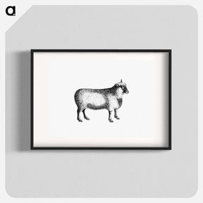 アートポスター-Sheep from On the Domesticated Animals of the British Islands
 - 大英図書館 Poster.