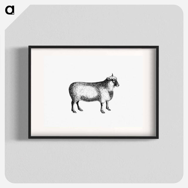 アートポスター-Sheep from On the Domesticated Animals of the British Islands
 - 大英図書館 Poster.