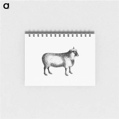 アートメモ帳-Sheep from On the Domesticated Animals of the British Islands
 - 大英図書館 Memo.
