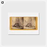 アートポストカード-Pioneers' Cabin
 - エドワード マイブリッジ Postcard.