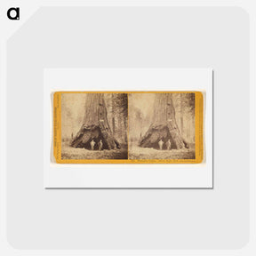 アートポストカード-Pioneers' Cabin
 - エドワード マイブリッジ Postcard.