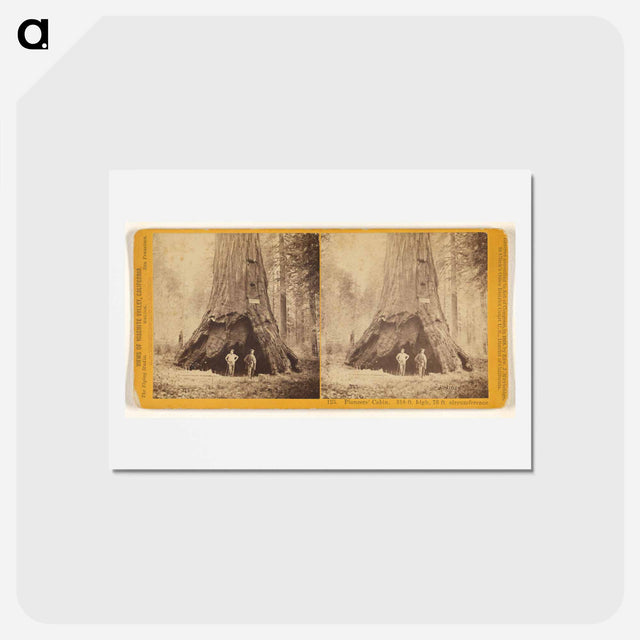 アートポストカード-Pioneers' Cabin
 - エドワード マイブリッジ Postcard.