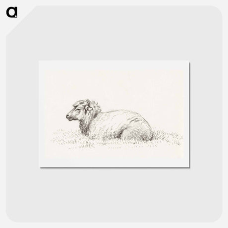 アートポストカード-Lying sheep - ジャン ベルナール Postcard.