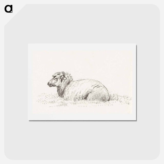 アートポストカード-Lying sheep - ジャン ベルナール Postcard.