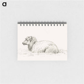 アートメモ帳-Lying sheep - ジャン ベルナール Memo.
