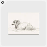 アートポストカード-Lying sheep - ジャン ベルナール Postcard.