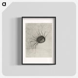 Spider - オディロン ルドン Poster.