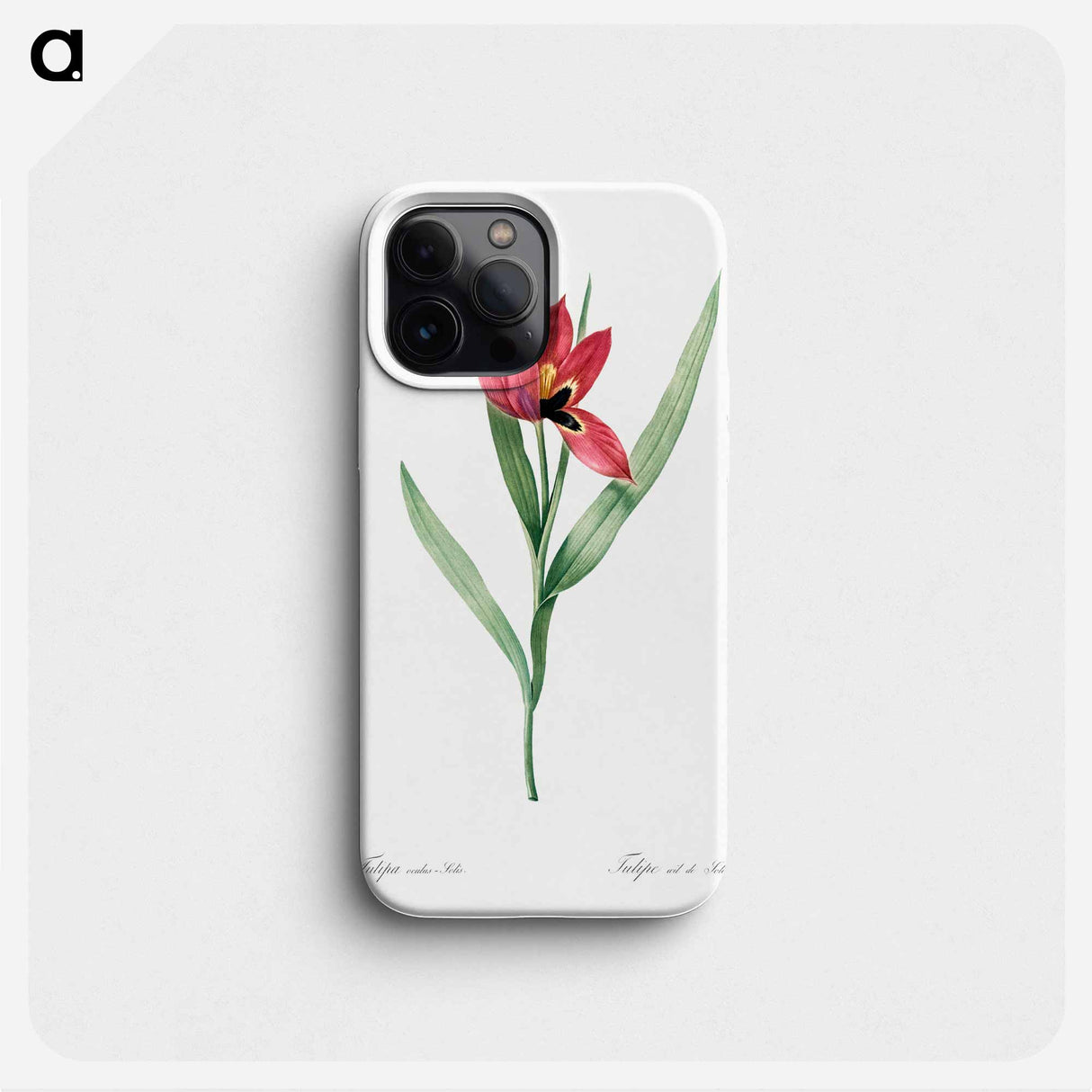 Tulipa oculus Colis - Pierre Joseph Redouté Phone Case.