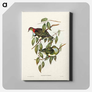 オーストラリア