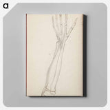 (unknown) part of a sketchbook - アルバート エーデルフェルト Canvas.