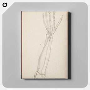 アートパネル-(unknown) part of a sketchbook - アルバート エーデルフェルト Canvas.