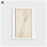 アートポストカード-(unknown) part of a sketchbook - アルバート エーデルフェルト Postcard.