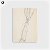 アートポストカード-(unknown) part of a sketchbook - アルバート エーデルフェルト Postcard.