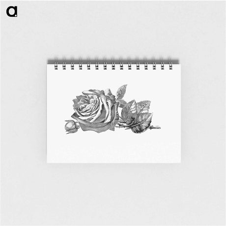 アートメモ帳-Rose Engraving
 - 大英図書館 Memo.