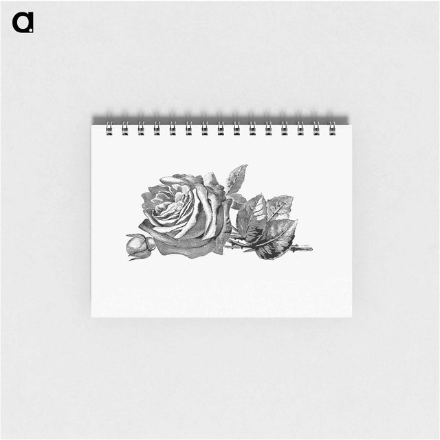 アートメモ帳-Rose Engraving
 - 大英図書館 Memo.