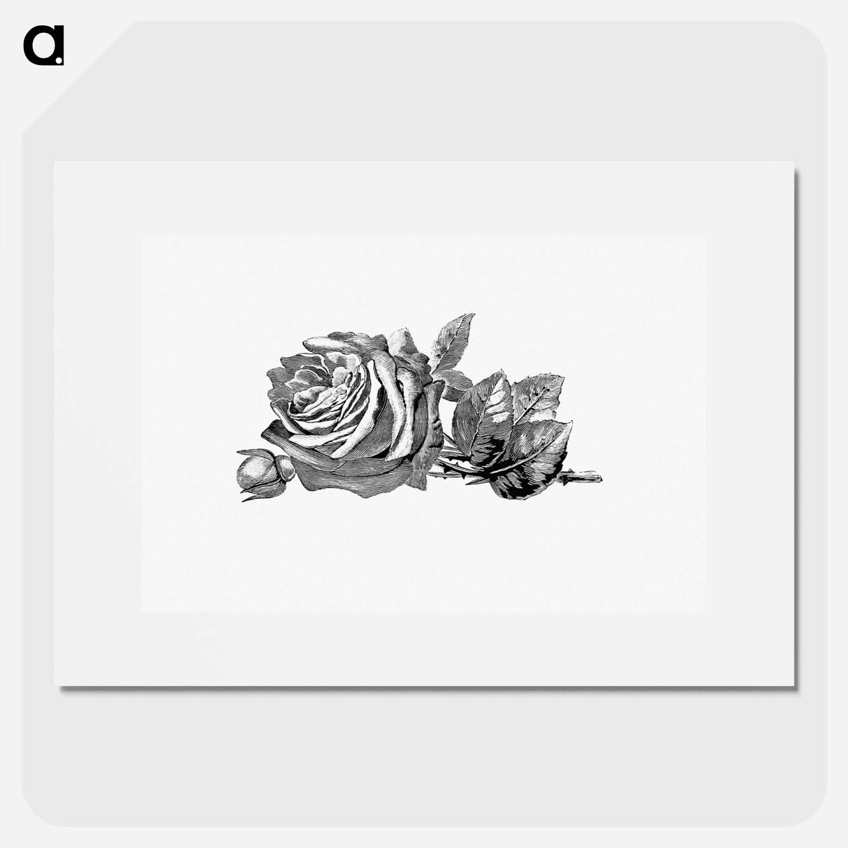 アートポスター-Rose Engraving
 - 大英図書館 Poster.