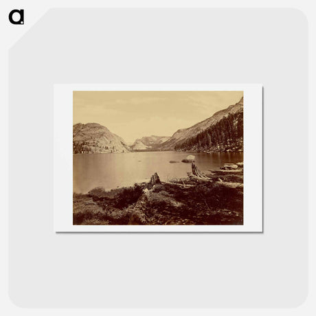 アートポストカード-Lake Tenaya, Sierra Nevada Mountains
 - エドワード マイブリッジ Postcard.