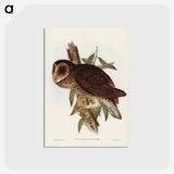 アートポストカード-Sooty Owl
 - ジョン グールド Postcard.