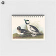 アートメモ帳-Buffel-headed Duck
 - アメリカの鳥たち Memo.