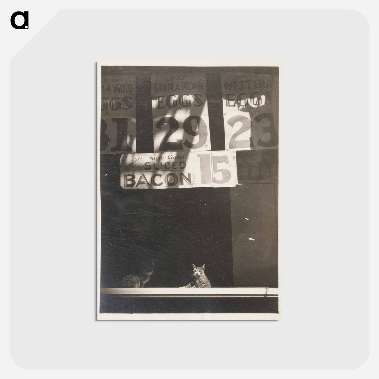 アートポストカード-Store Sign Above Two Cats
 - セントルイス美術館 Postcard.