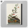 アートパネル-Golden-crowned Thrush from Birds of America
 - アメリカの鳥たち Canvas.