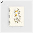 アートメモ帳-Yellow-tinted Honey-eater
 - オーストラリアの鳥 Memo.