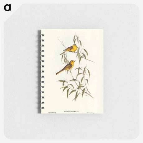 アートメモ帳-Yellow-tinted Honey-eater
 - オーストラリアの鳥 Memo.