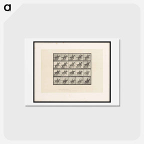 アートポストカード-Jumping Horse
 - エドワード マイブリッジ Postcard.
