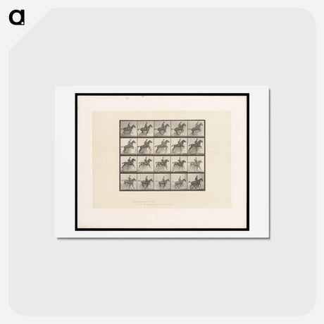 アートポストカード-Jumping Horse
 - エドワード マイブリッジ Postcard.
