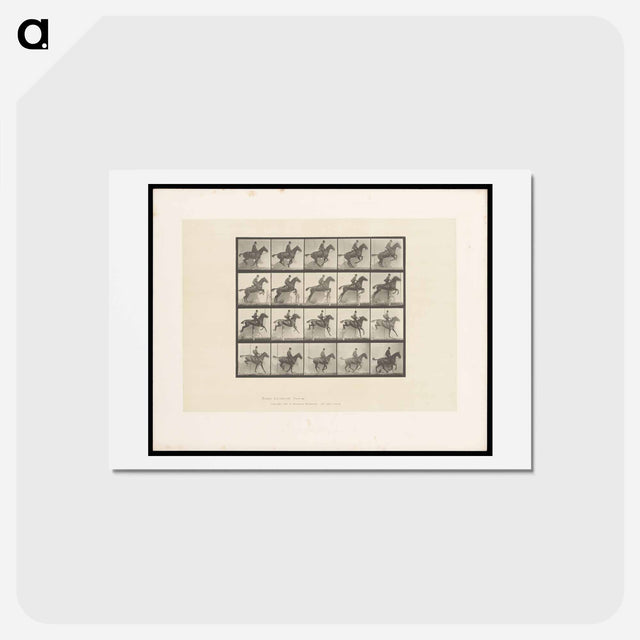 アートポストカード-Jumping Horse
 - エドワード マイブリッジ Postcard.