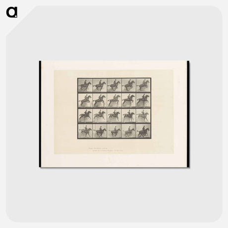 アートポストカード-Jumping Horse
 - エドワード マイブリッジ Postcard.