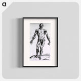 アートポスター-Musculature of the Human Body
 - 国立医学図書館 Poster.