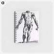 アートメモ帳-Musculature of the Human Body
 - 国立医学図書館 Memo.