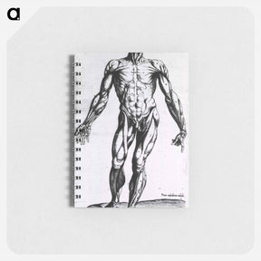 アートメモ帳-Musculature of the Human Body
 - 国立医学図書館 Memo.