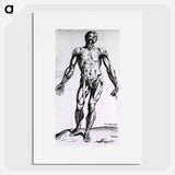 アートポスター-Musculature of the Human Body
 - 国立医学図書館 Poster.