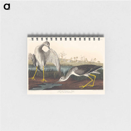 アートメモ帳-Tell-tale Godwit or Snipe from Birds of America
 - アメリカの鳥たち Memo.