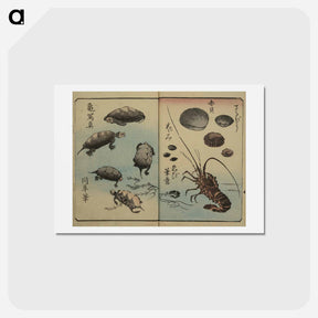アートポストカード-Picture Book for the Practice of Drawing Fish
 - 歌川 広重 Postcard.