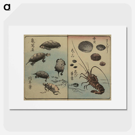 アートポスター-Picture Book for the Practice of Drawing Fish
 - 歌川 広重 Poster.
