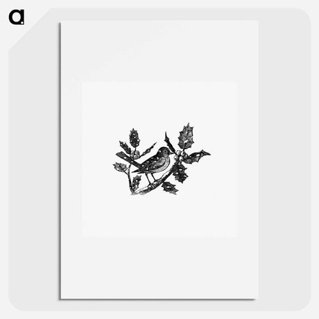 アートポスター-Winter Bird Etching Illustration
 - 大英図書館 Poster.