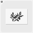 アートポストカード-Winter Bird Etching Illustration
 - 大英図書館 Postcard.
