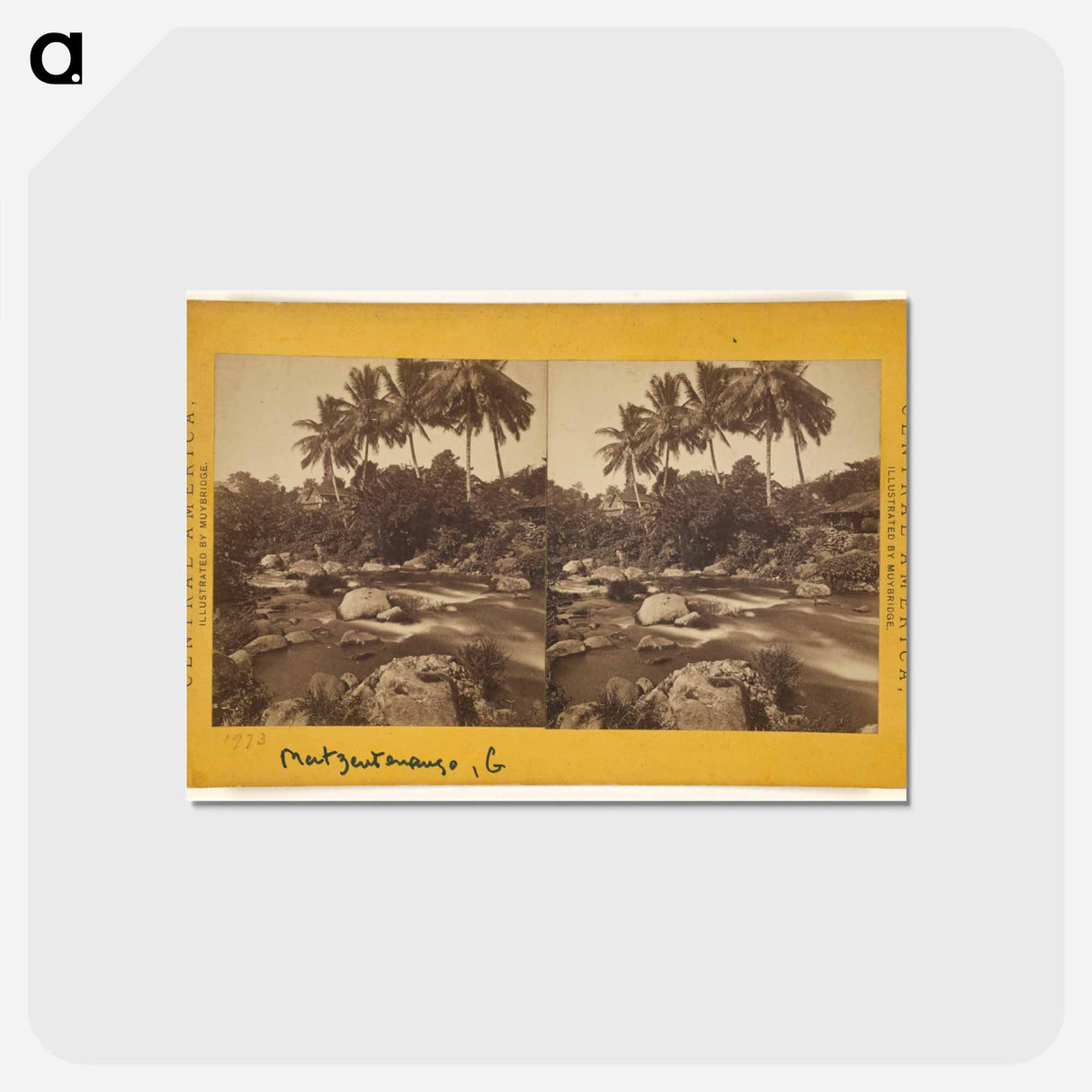 アートポストカード-Mazatenango
 - エドワード マイブリッジ Postcard.